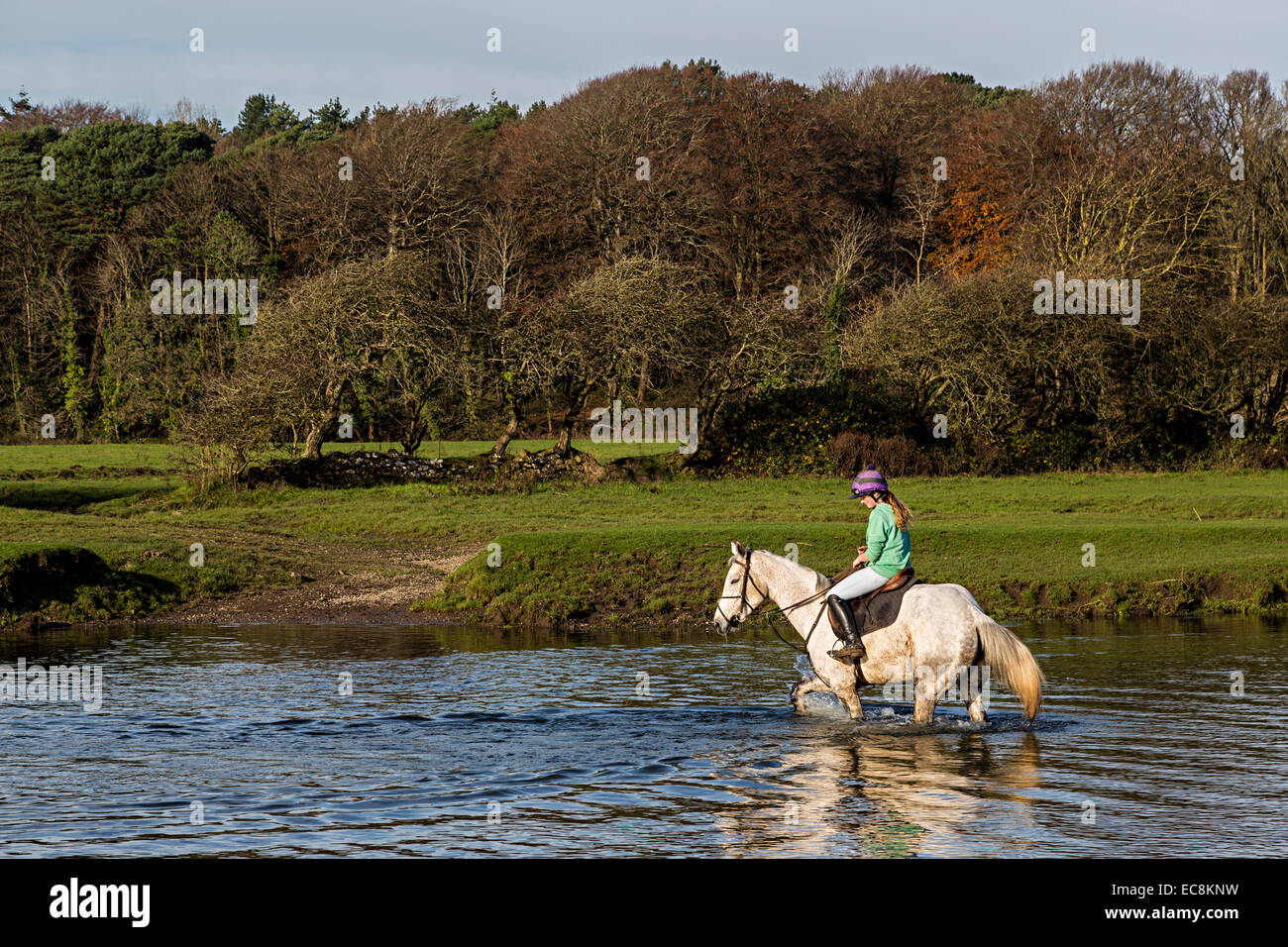 Mädchen auf Pferd fording Fluss, Ogmore, Wales, UK Stockfoto