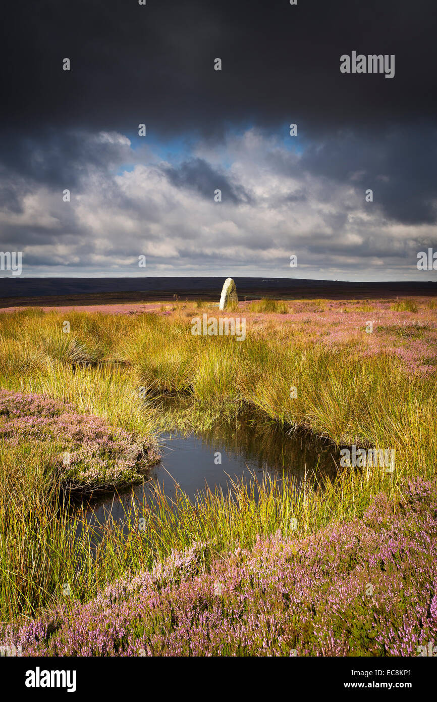 North York Moors Association Moor überqueren auf Danby High Moor. New York Moors National Park Stockfoto