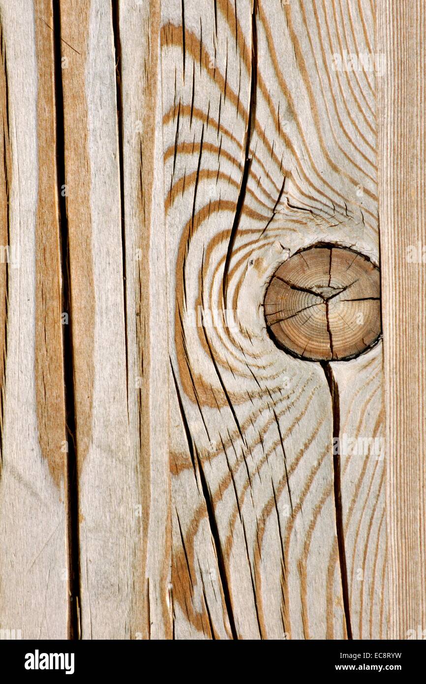 Rändelung in einem Split Holz. Stockfoto