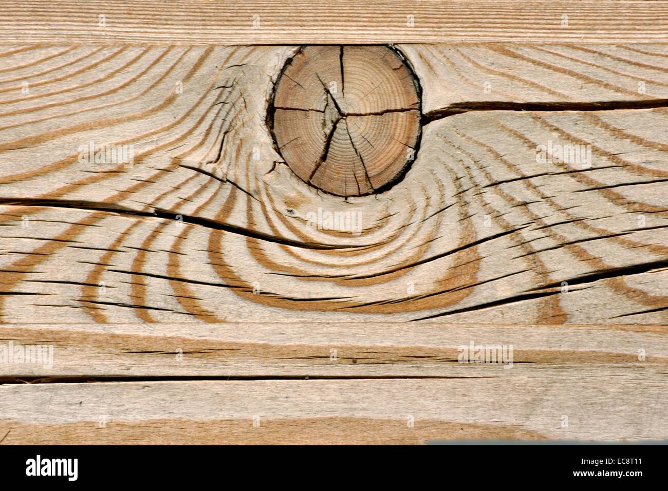 Rändel in einem Split-Holz. Stockfoto