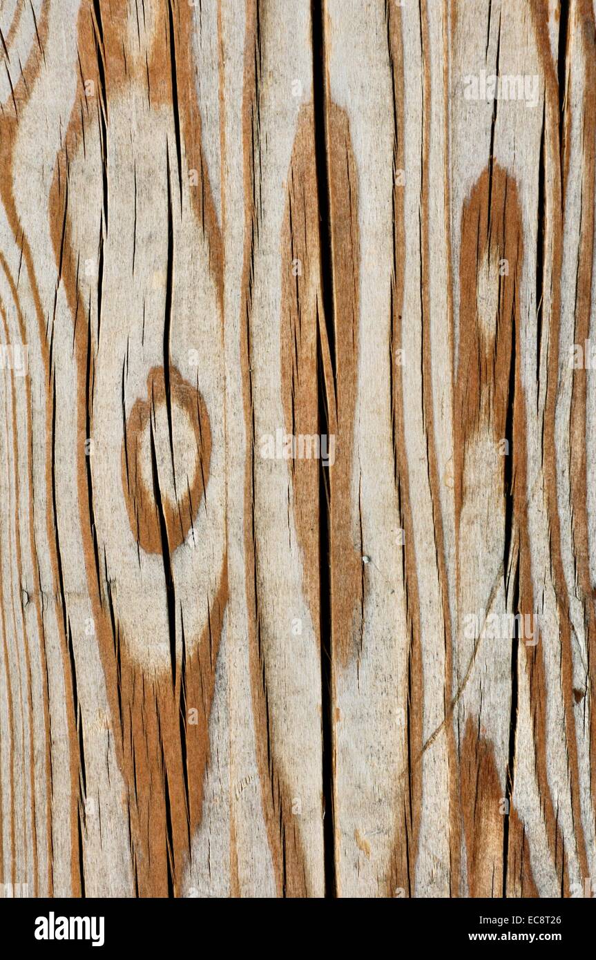 Tiger Haut Split Holz. Stockfoto