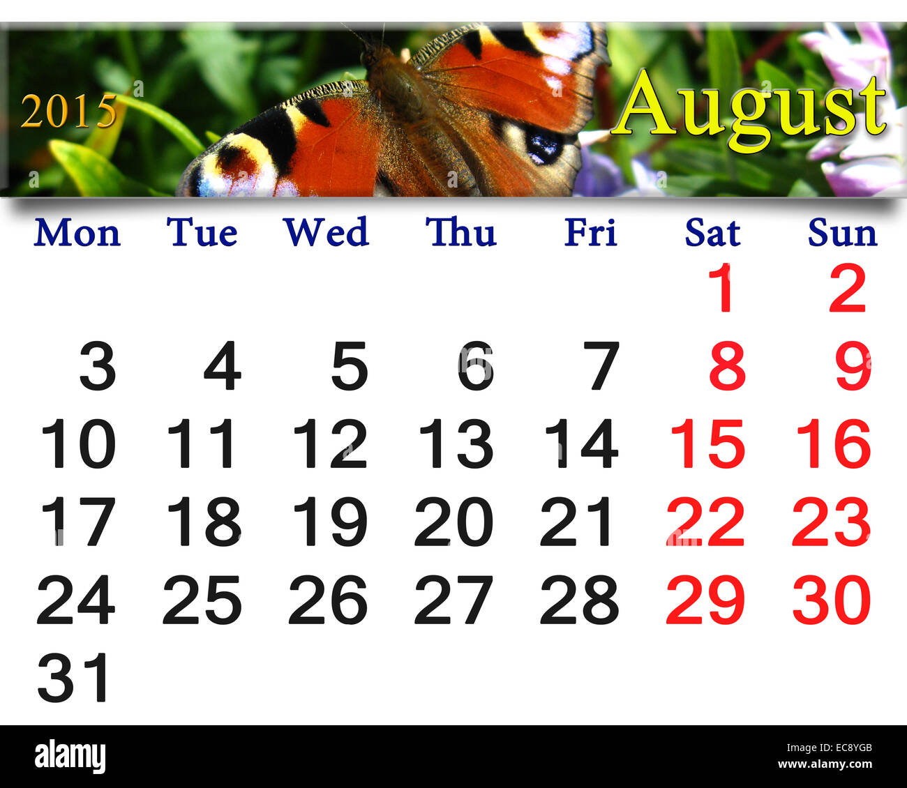 schöne Kalender für August 2015 Jahr mit Bild des Schmetterlings von Pfau Auge Stockfoto