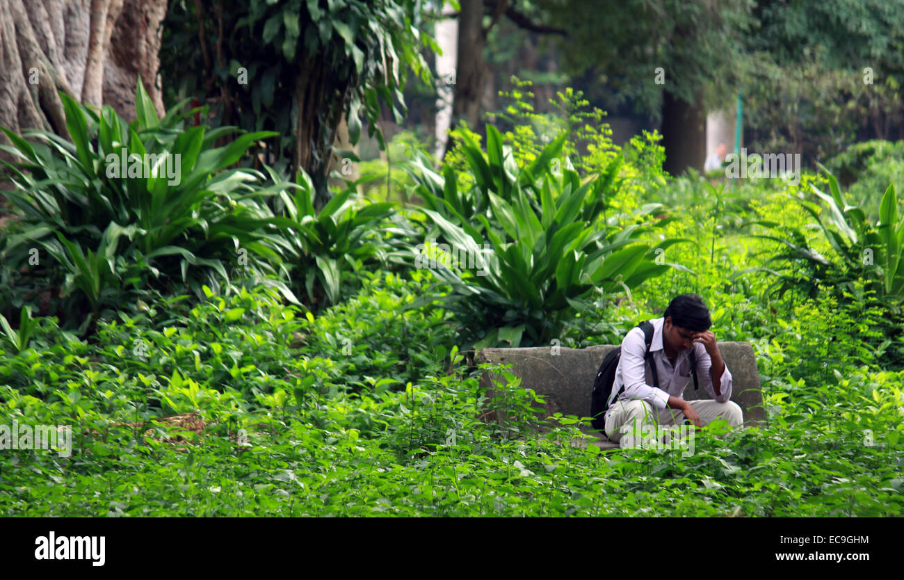 Reportageaufnahme ein Mann sitzt allein im Cubbon Park, Bangalore Stockfoto