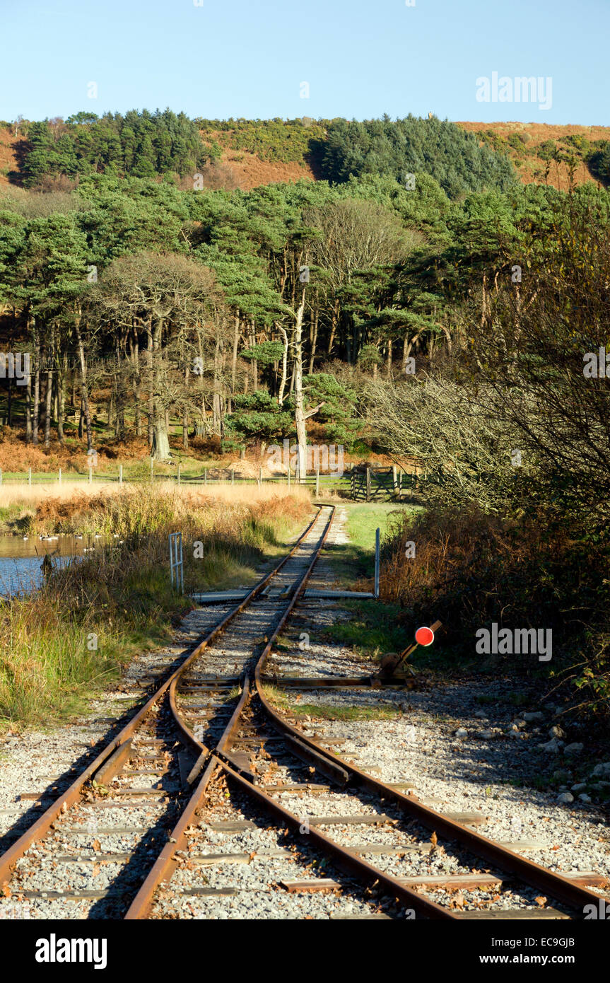 Konvergierenden Eisenbahnlinien, Landschaftspark Margam, Port Talbot, South Wales, UK. Stockfoto