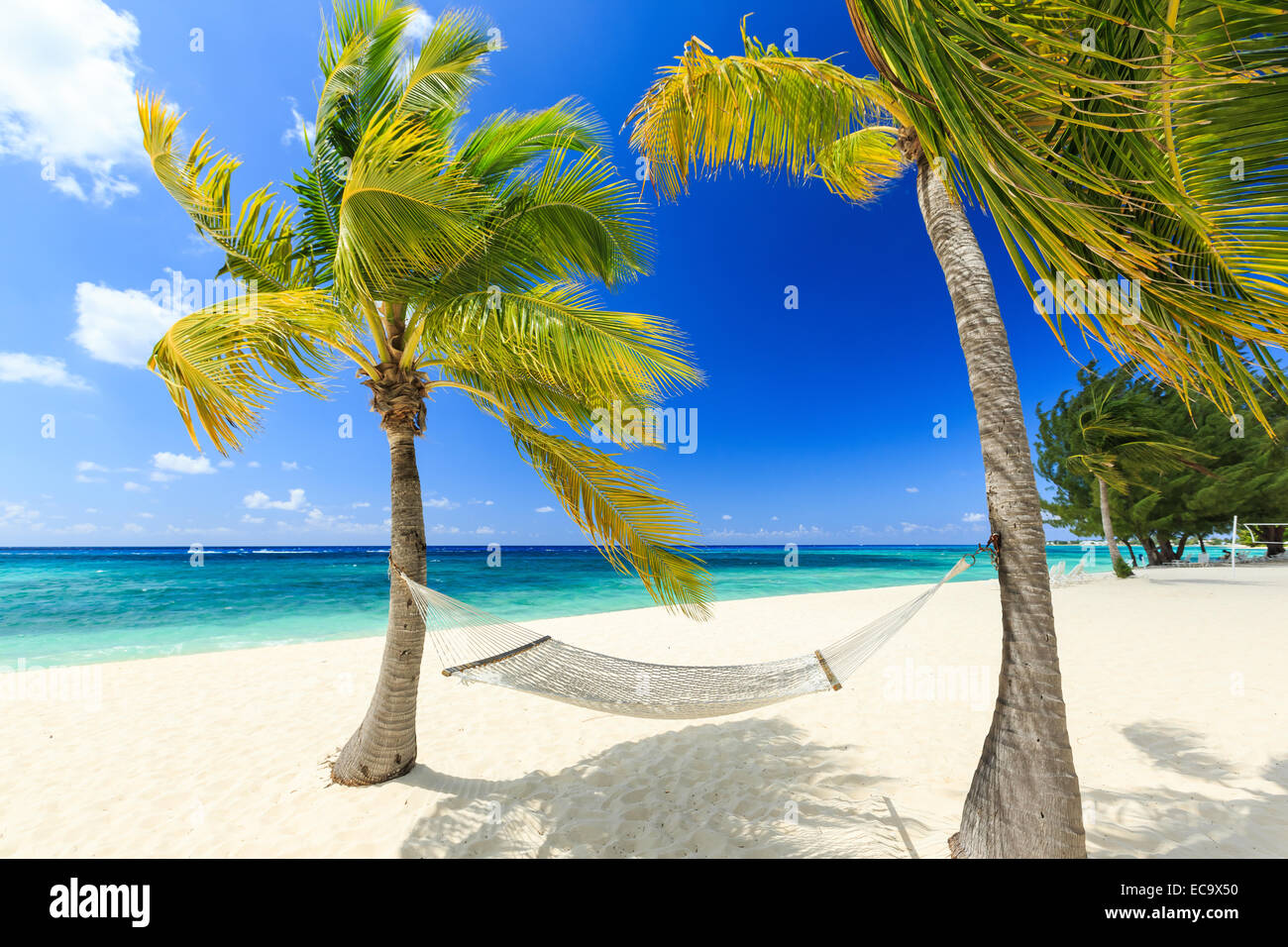 Grand Cayman, Kaimaninseln Stockfoto