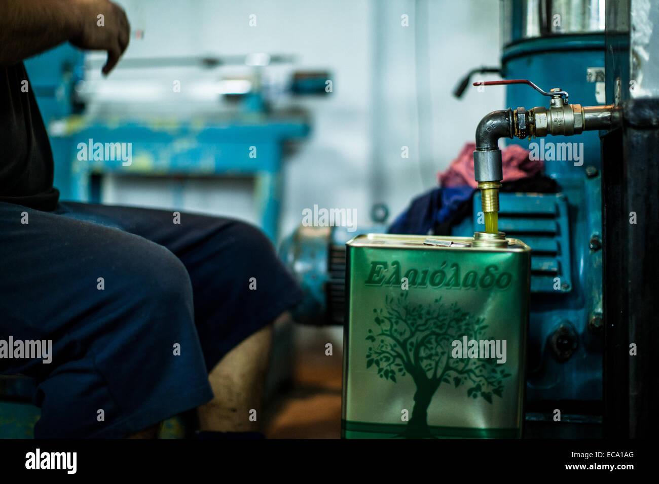 Den letzten Schritt der Ölförderung zu handeln, während das frische Olivenöl die letzte der Dosen füllt Mann Stockfoto