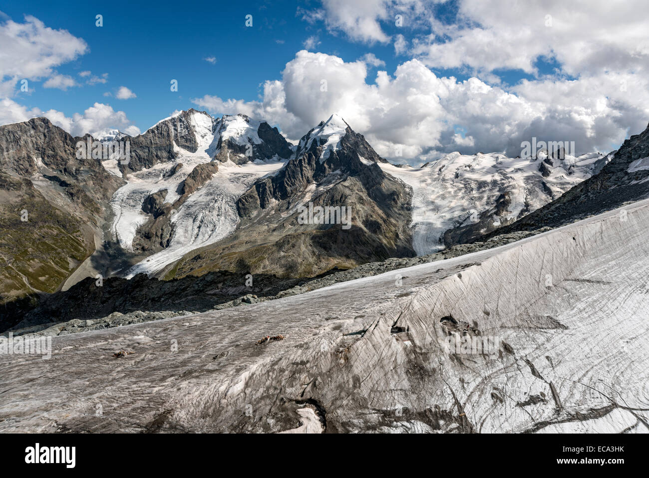 Piz Roseg, Sellagletscher Und Piz Bernina gesehen vom Piz Corvatsch Bergstation, Graubünden, Schweiz. Stockfoto