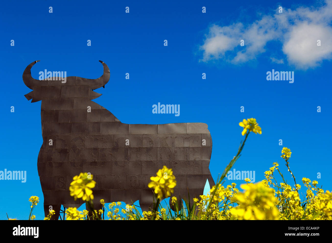 Bull-Silhouette, typischen Werbung der spanischen Sherry Osborne, Malaga, Andalusien, Spanien, Europa Stockfoto