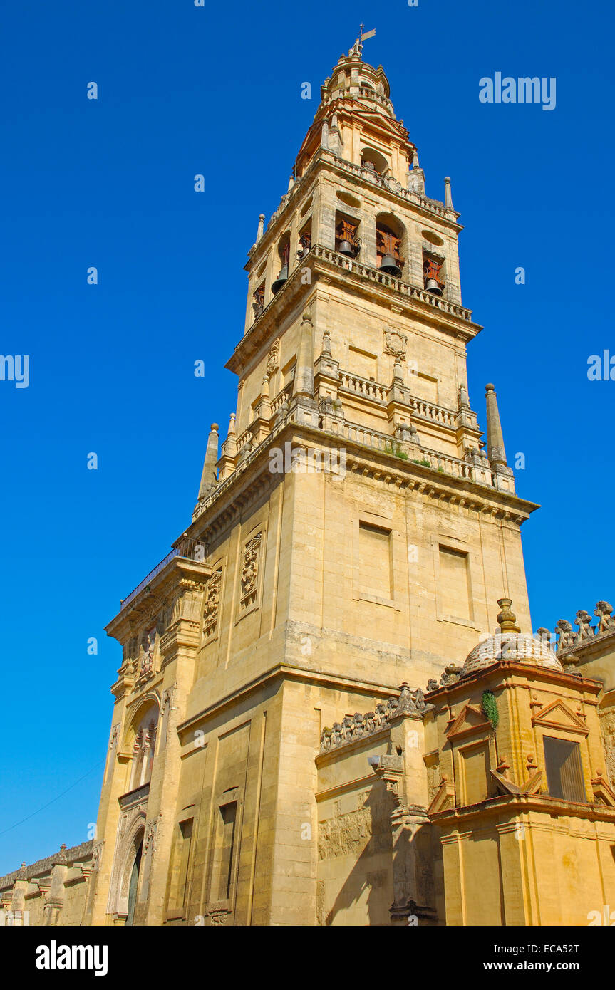 Turm Minarett der großen Moschee, Córdoba, Andalusien, Spanien, Europa Stockfoto