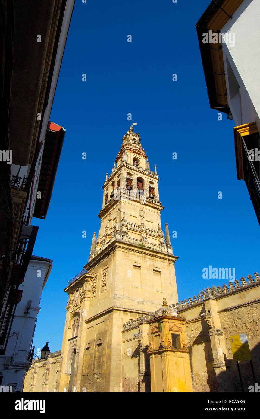 Turm Minarett der großen Moschee, Córdoba, Andalusien, Spanien, Europa Stockfoto