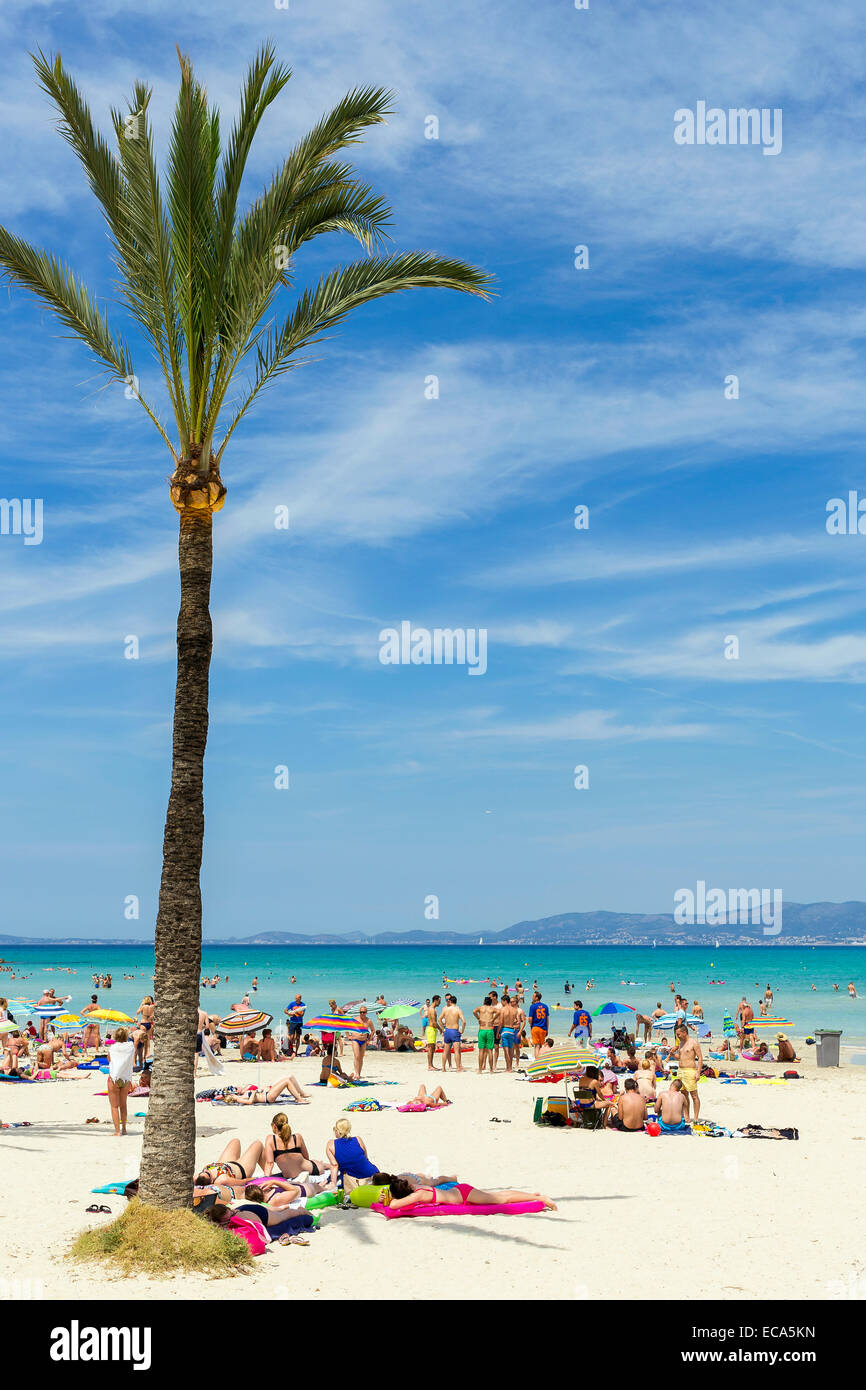 Voller Strand, Playa de Palma, Bucht von Palma, Mallorca, Balearen, Spanien Stockfoto