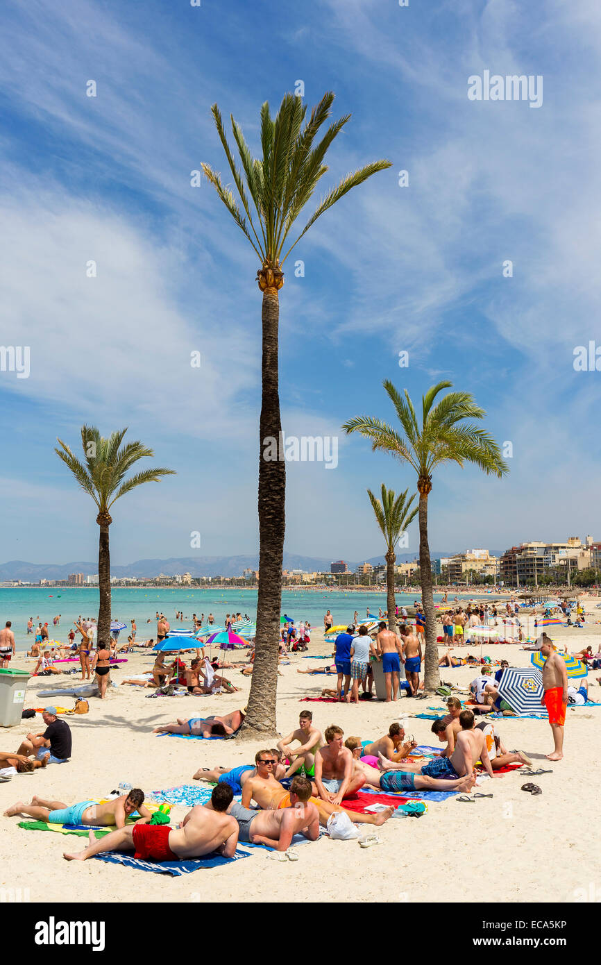 Playa de Palma, Bucht von Palma, Mallorca, Balearen, Spanien Stockfoto