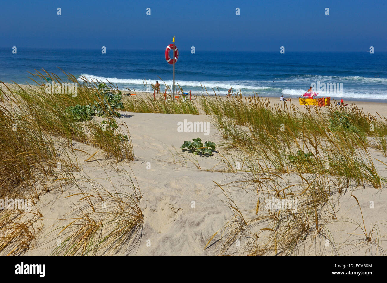 Costa Nova Strand, Aveiro, Beiras Region, Portugal, Europa Stockfoto