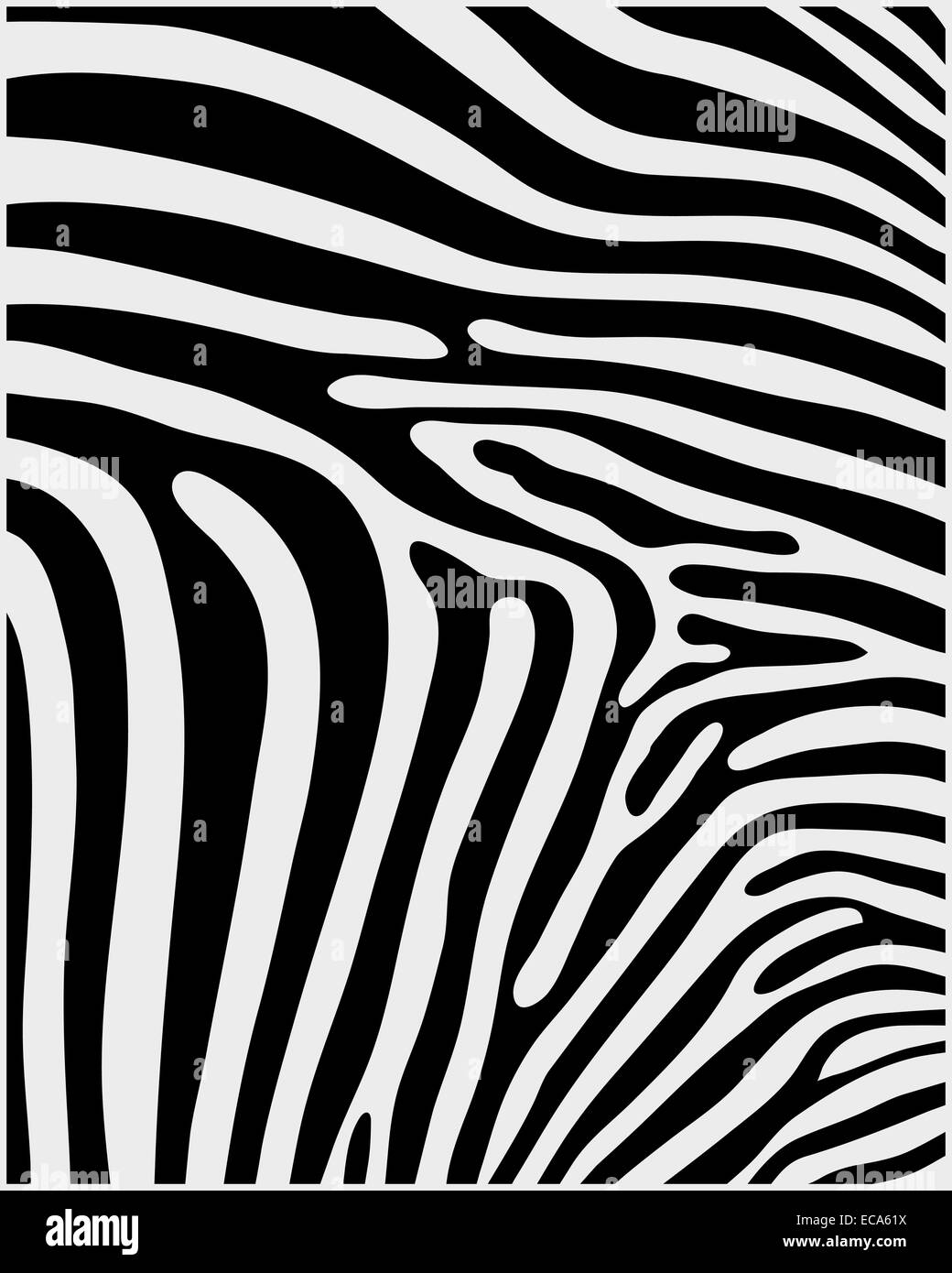 Haut von zebra Stockfoto