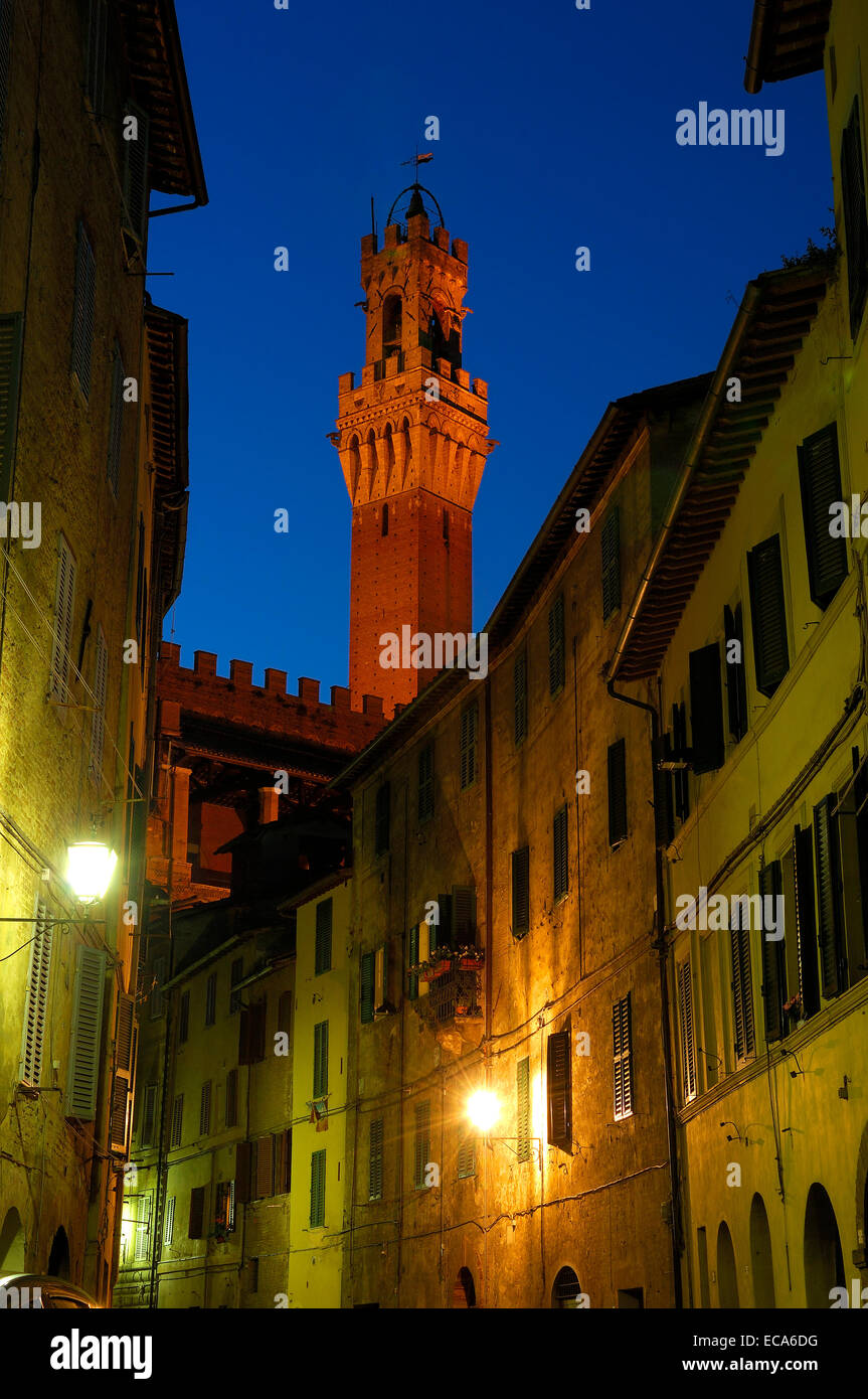 Torre del Mangia Turm bei Dämmerung, Siena, Toskana, Italien, Europa Stockfoto