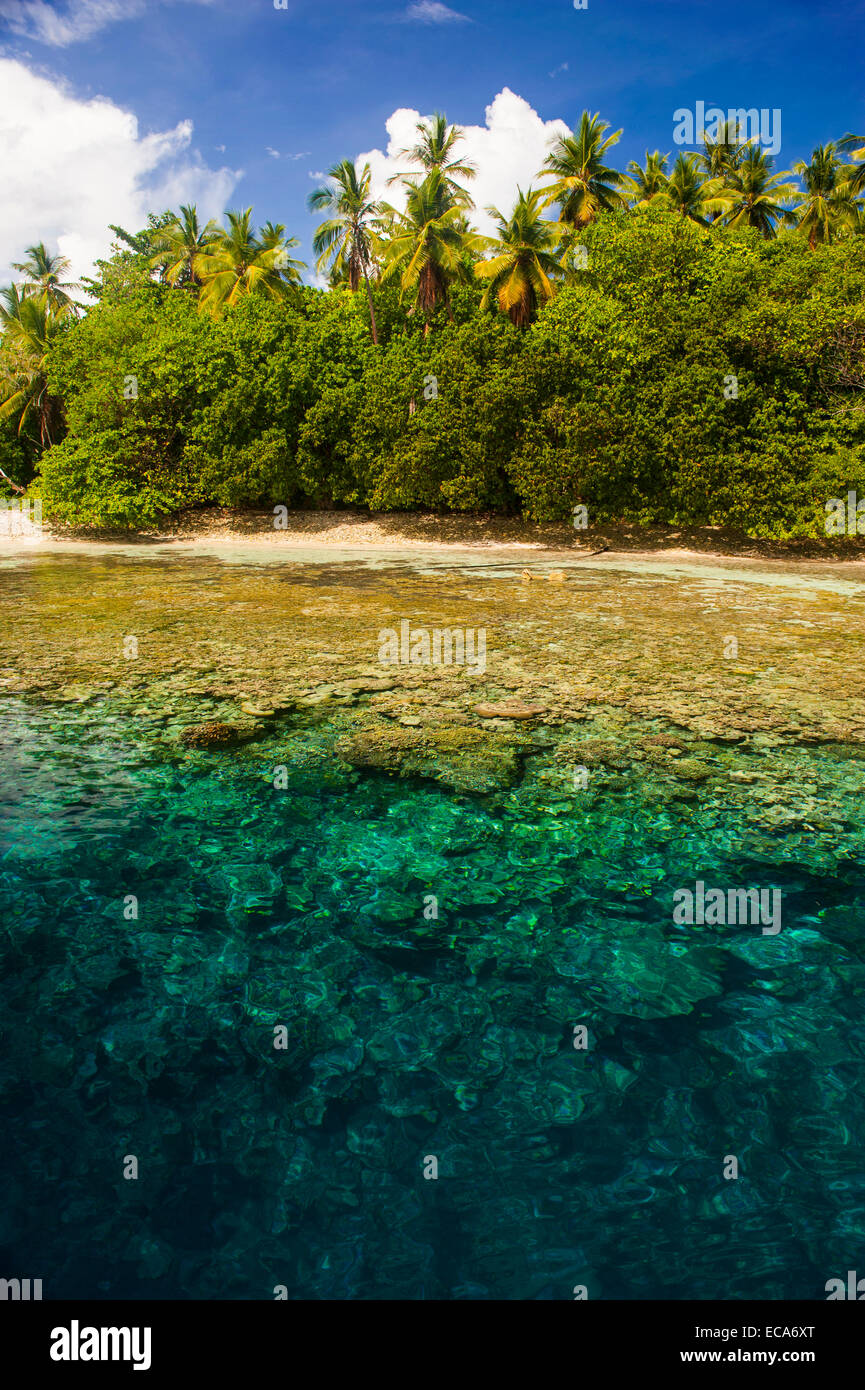 Klares Wasser und eine kleine Insel in der Ant-Atoll, Pohnpei, Mikronesien Stockfoto