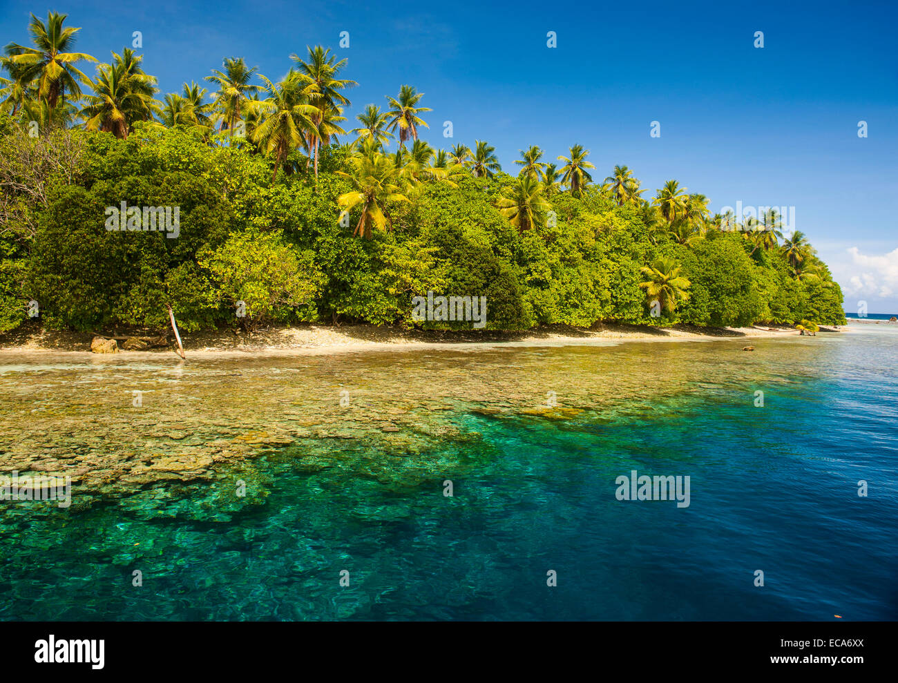 Klares Wasser und eine kleine Insel in der Ant-Atoll, Pohnpei, Mikronesien Stockfoto