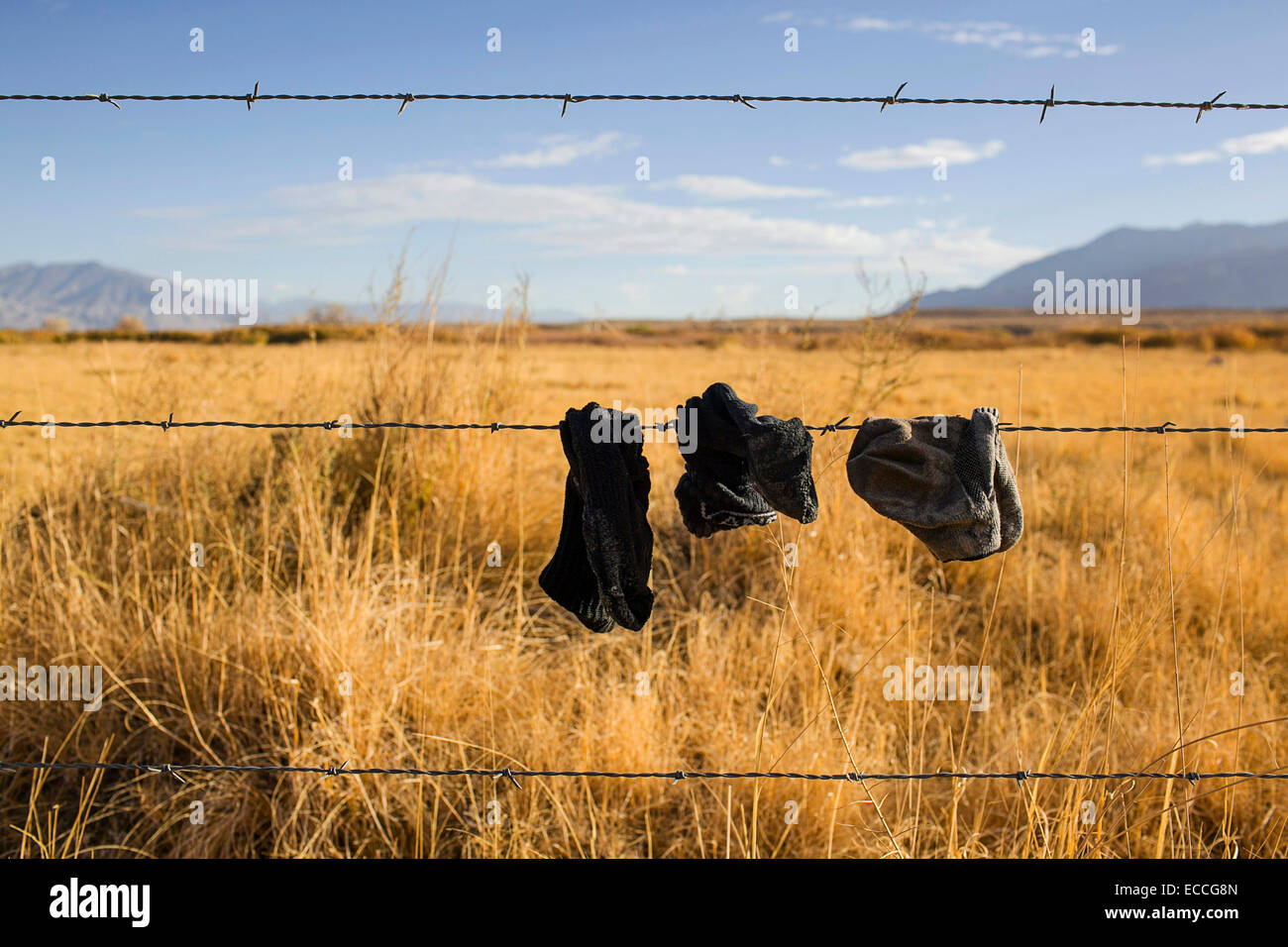 Schmutzige Socken hangin auf einem Zaun. Stockfoto
