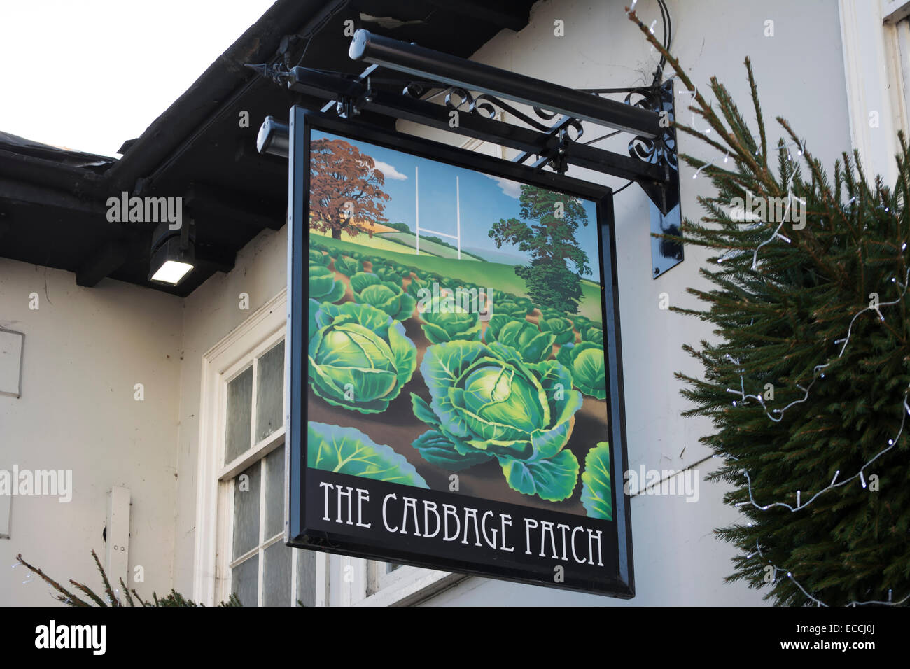 hängende Zeichen für die Kohlköpfe, eine Kneipe mit Rugby-vereinen in Twickenham, Middlesex, england Stockfoto