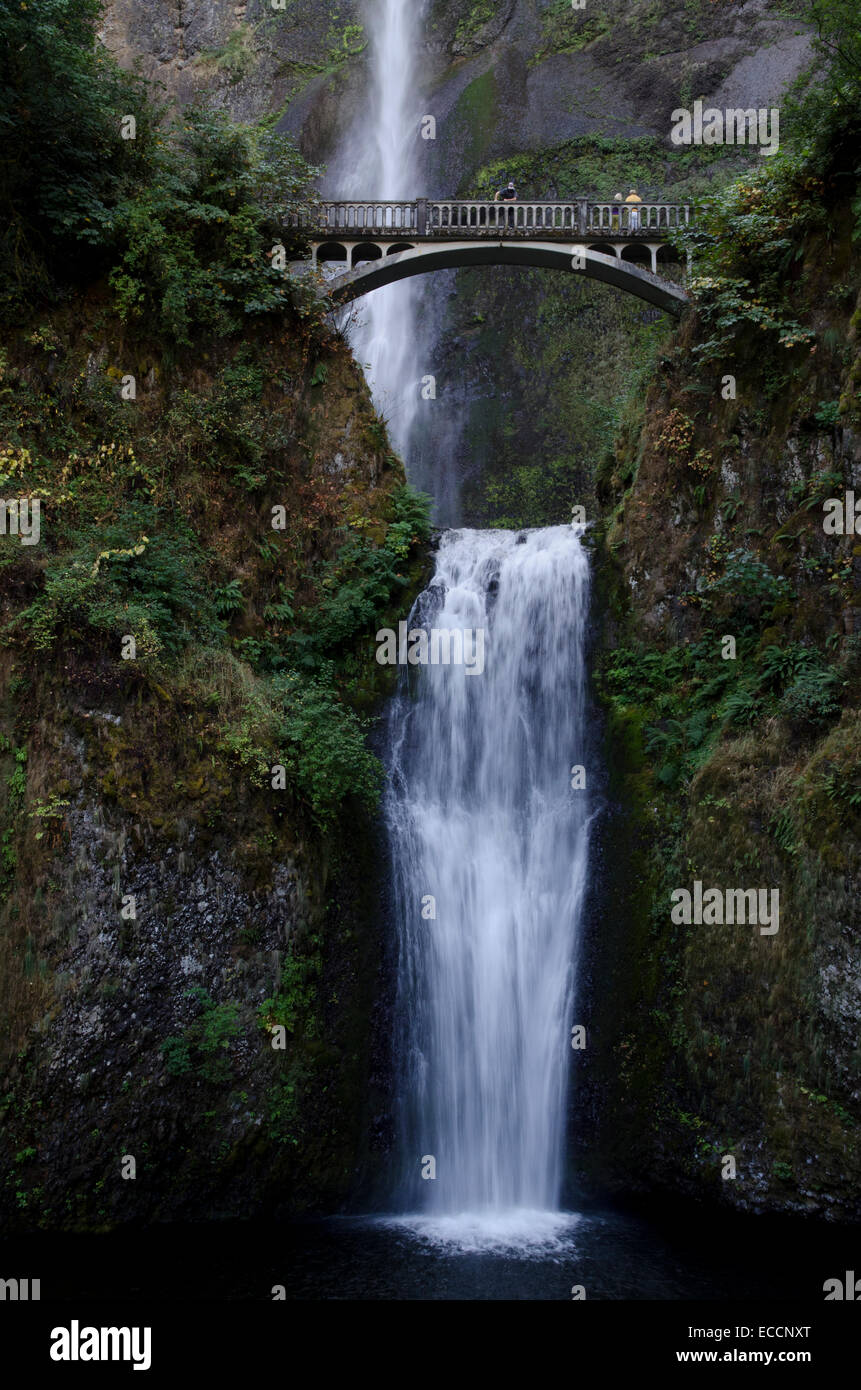 Multnomah Falls, der höchste Wasserfall in Oregon, ist einer der vielen Wasserfälle entlang der Columbia River Gorge, Oregon. Stockfoto