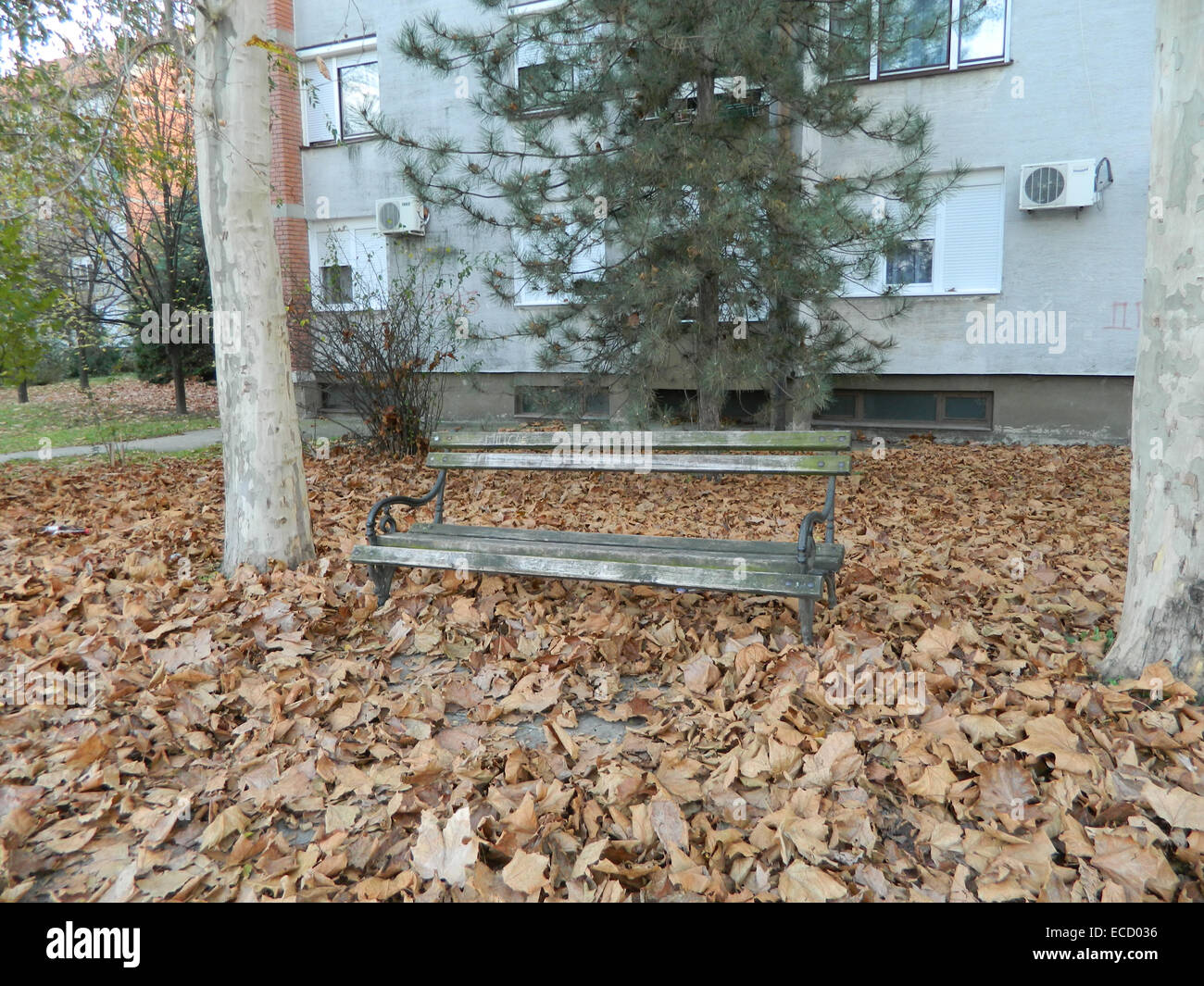 Holzbank mit Herbst Laub bedeckt. Bank vor dem Wohnhaus. Stockfoto