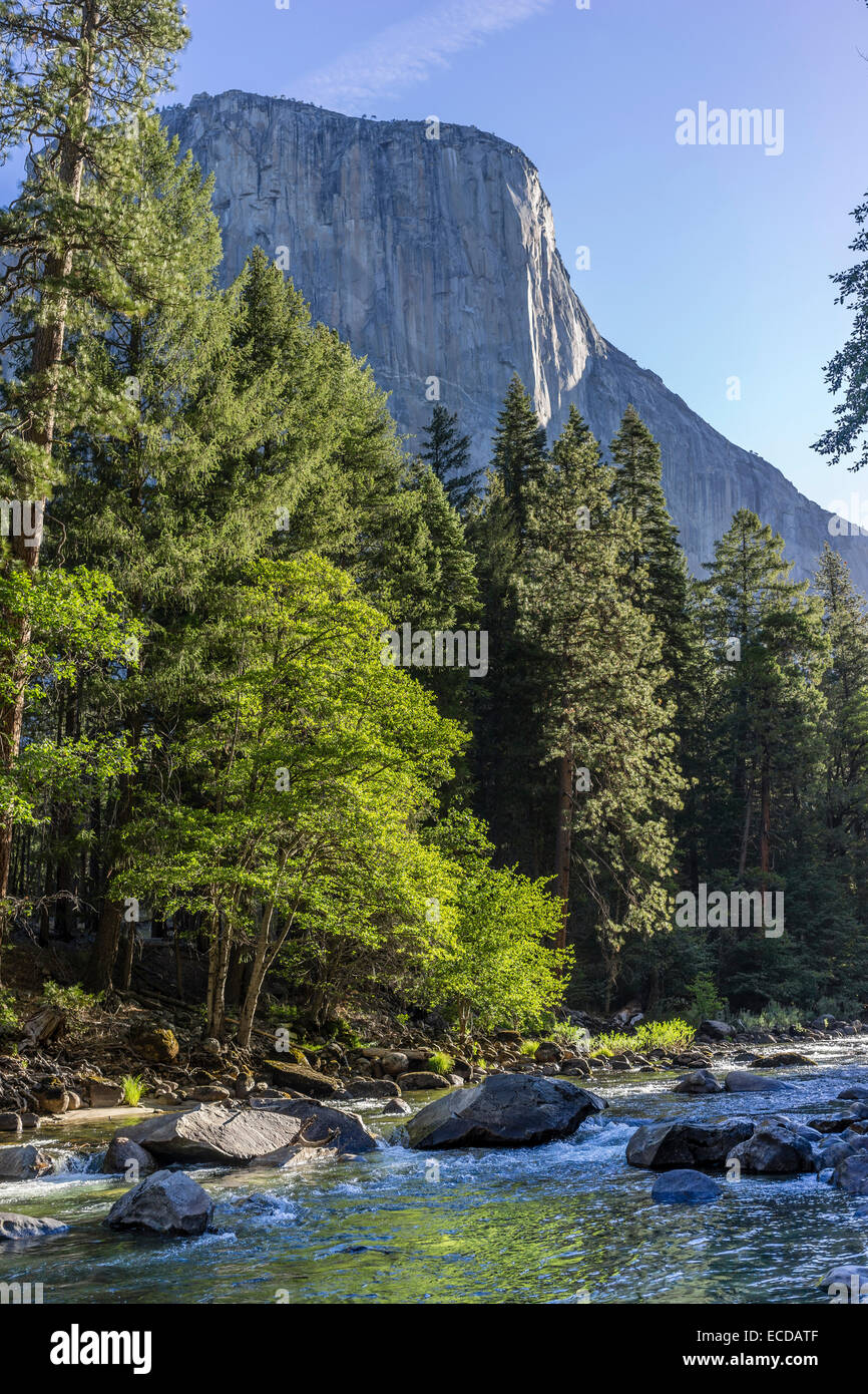 Yosemite-Nationalpark Stockfoto