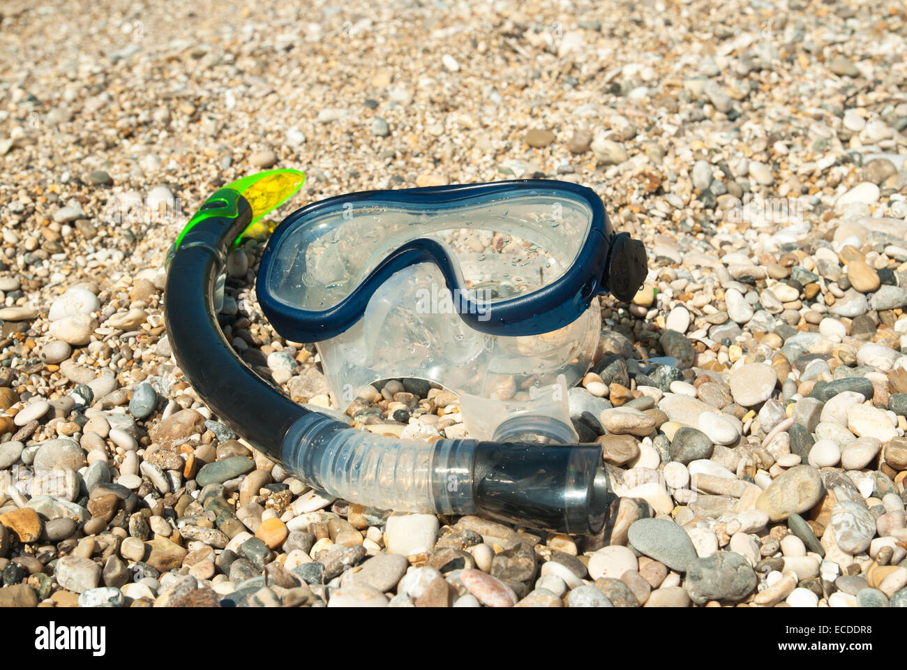 PEPWE Tauchflaschen Haltegurt - Elastischer Schlauchhalter Für 6L & 12L Tauchzylinder
