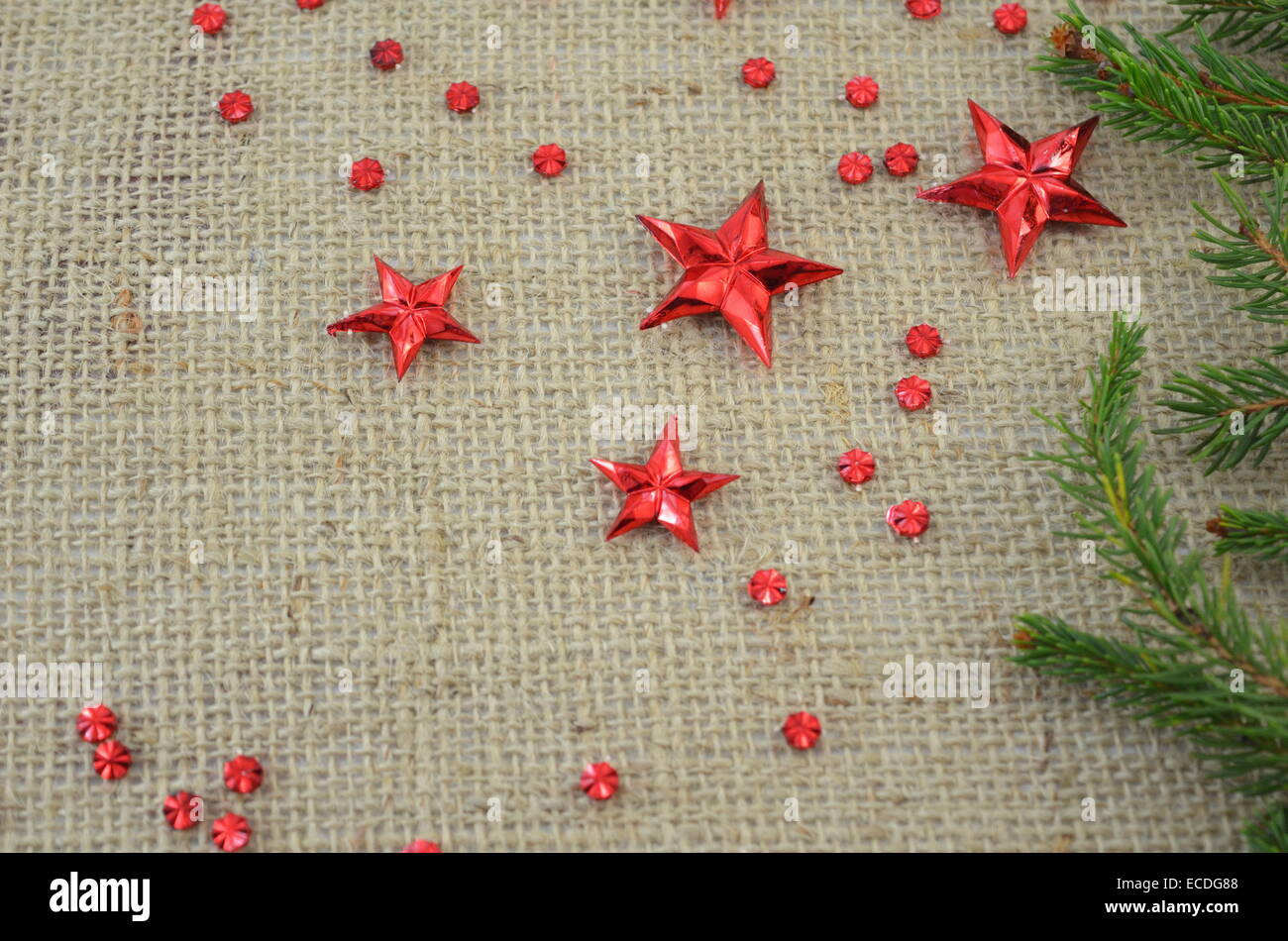 Roten Weihnachtssterne und eine Tanne Zweig auf einem gestrickten Tisch decken. Stockfoto