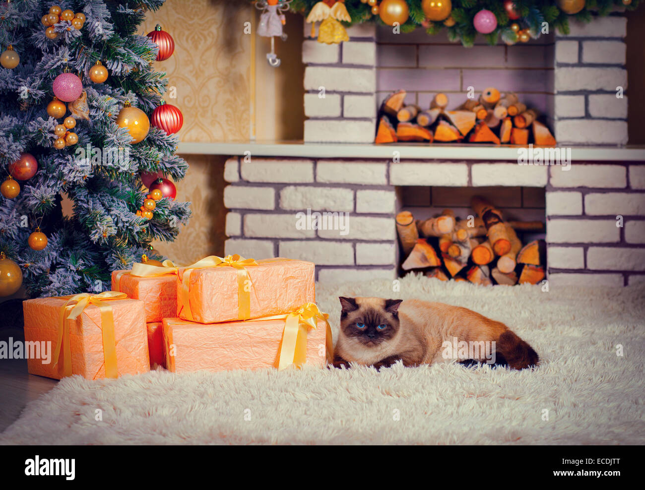 Die Katze liegt auf dem Teppich vor dem Kamin, neben dem Weihnachtsbaum und Geschenke Stockfoto