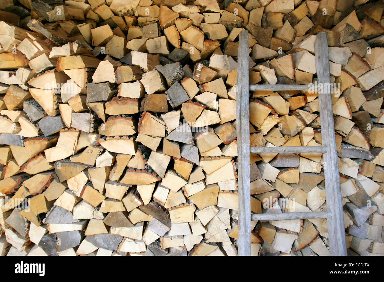 Eine Metall-Leiter und ein Haufen von Holz gehackt für Heizung in einer Halle gelagert. Stockfoto