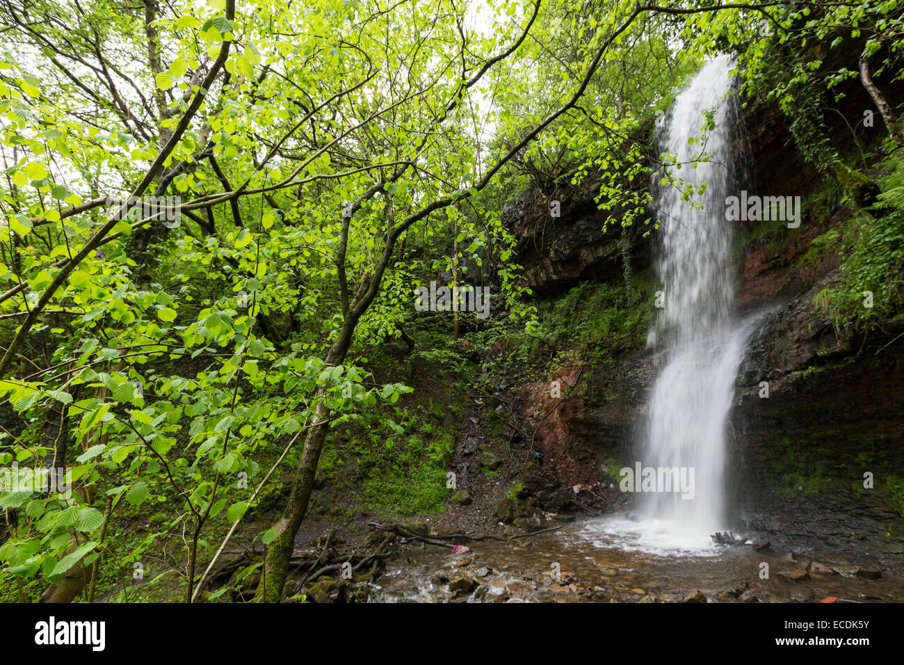 Wasserfall, Clydach Schlucht, Wales, UK Stockfoto