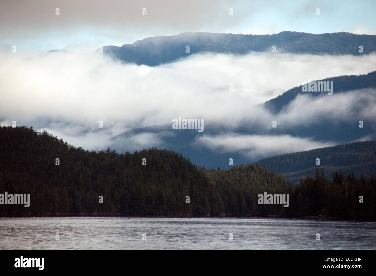 Die Berge der "Kanonenboot-Passage" in der Region der Great Bear Rainforest an der Küste von British Columbia, Kanada. Stockfoto
