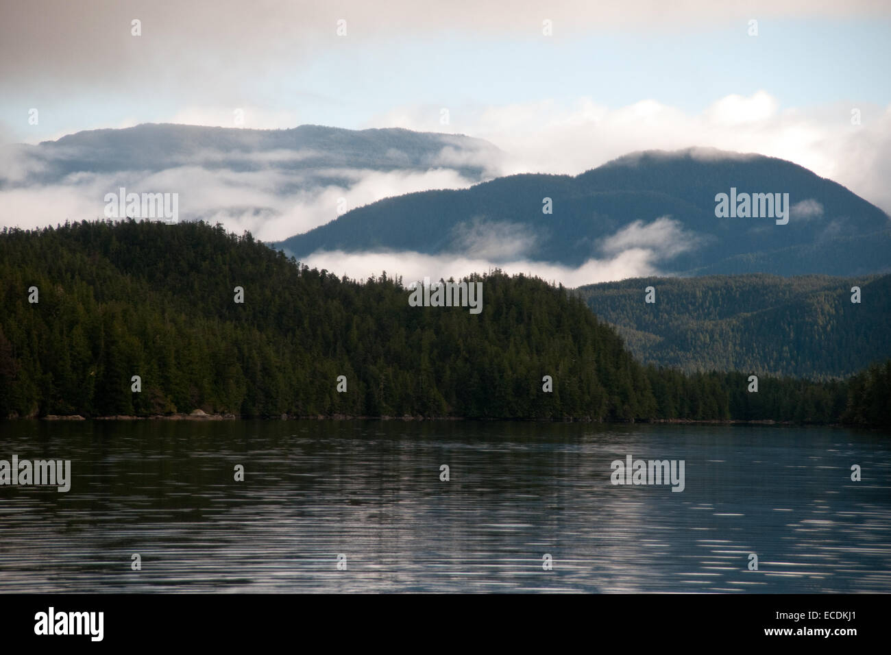 Die Berge der "Kanonenboot-Passage" in der Region der Great Bear Rainforest an der Küste von British Columbia, Kanada. Stockfoto