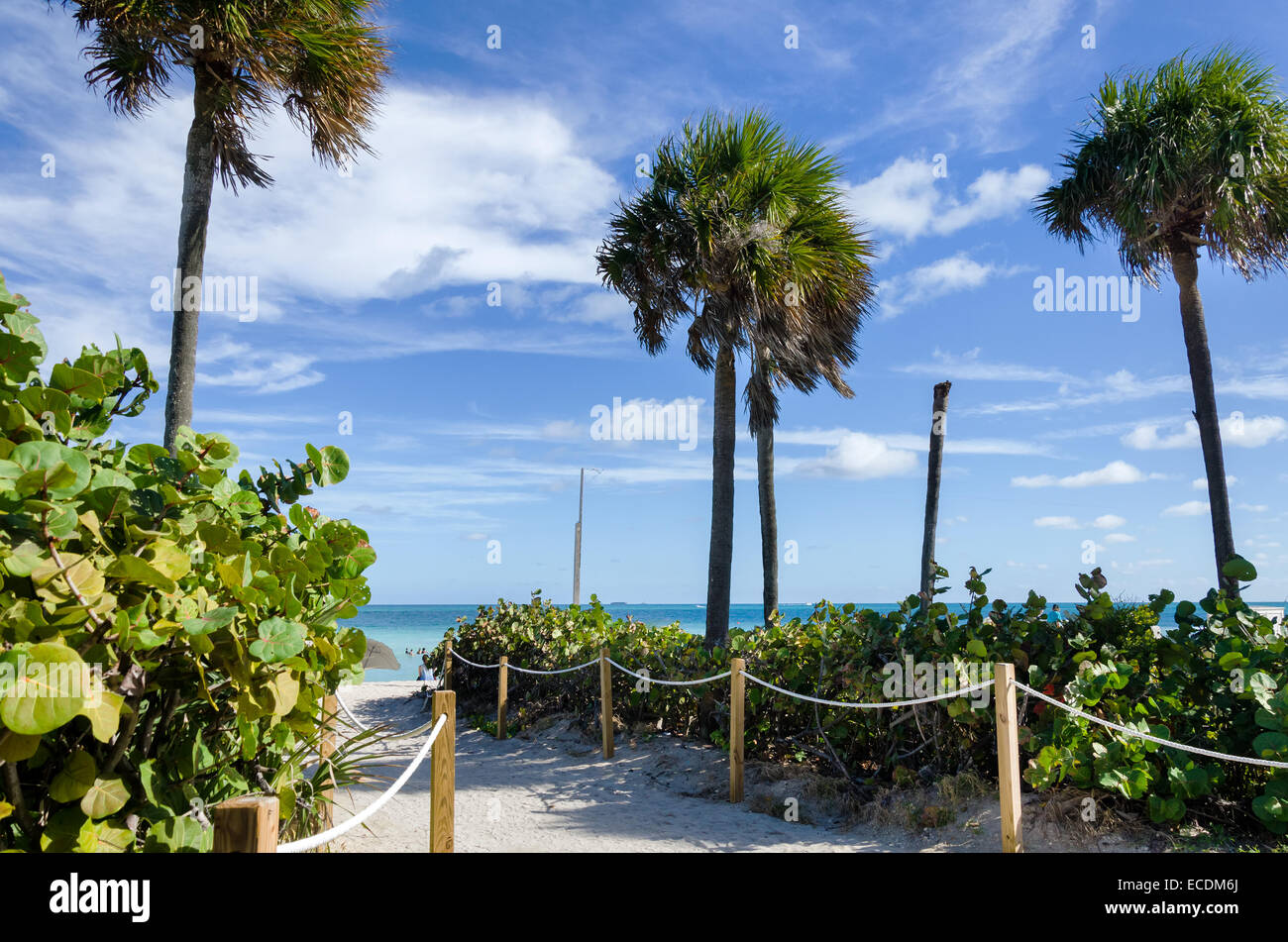 Miami Beach Ozeanküste Stockfoto