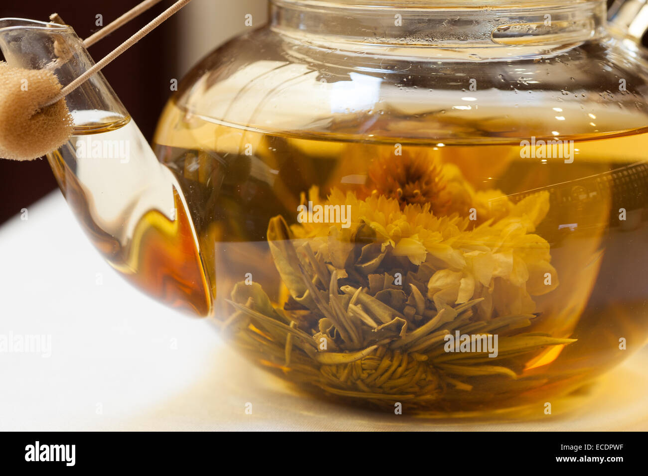 Nahaufnahme eines blühenden Tee im Glas Teekanne Stockfoto