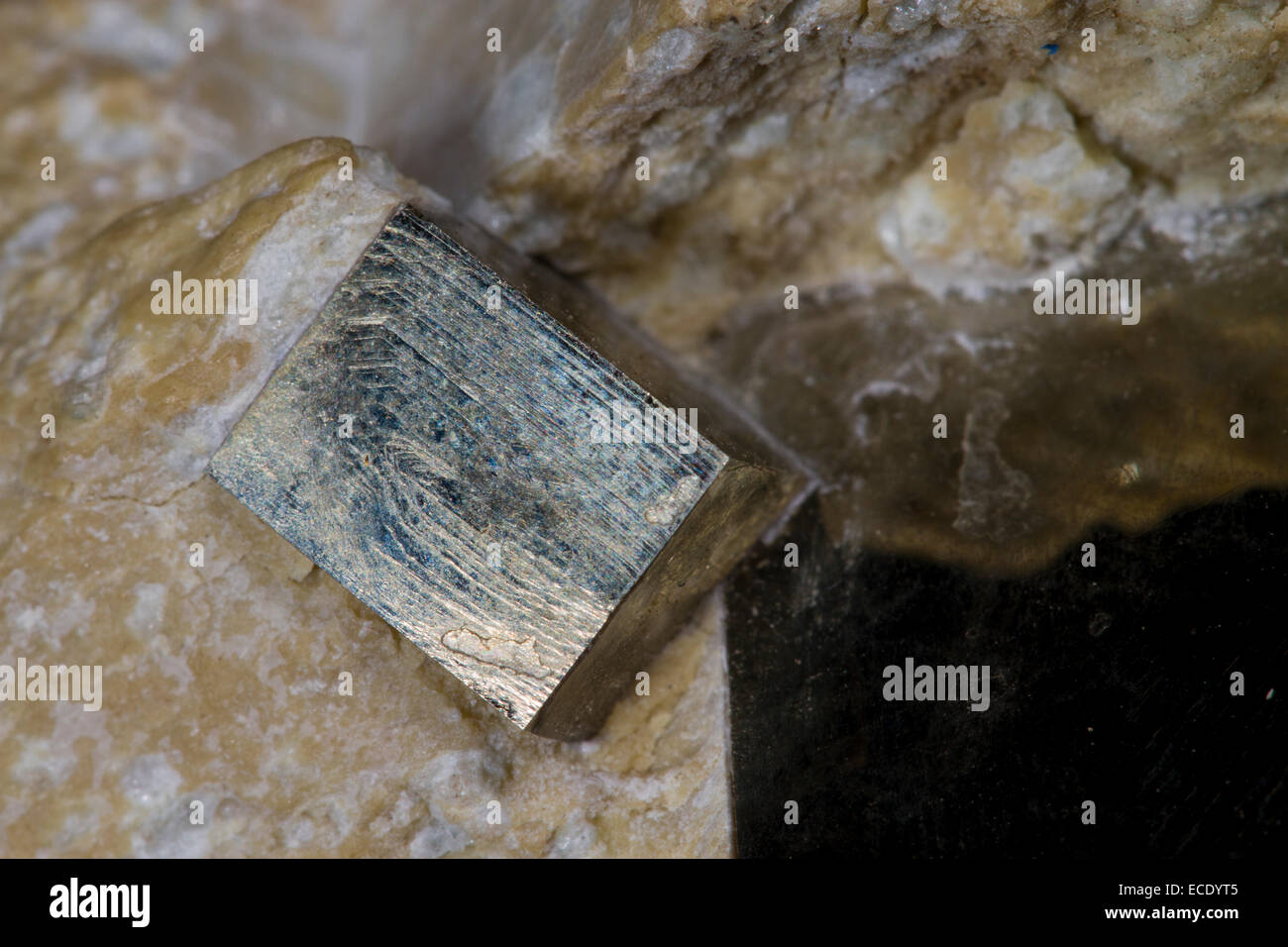 Eisen-Pyrit oder Katzengold Kristalle. Kubische Kristalle auf das Nebengestein. Unbekannter Herkunft. Stockfoto