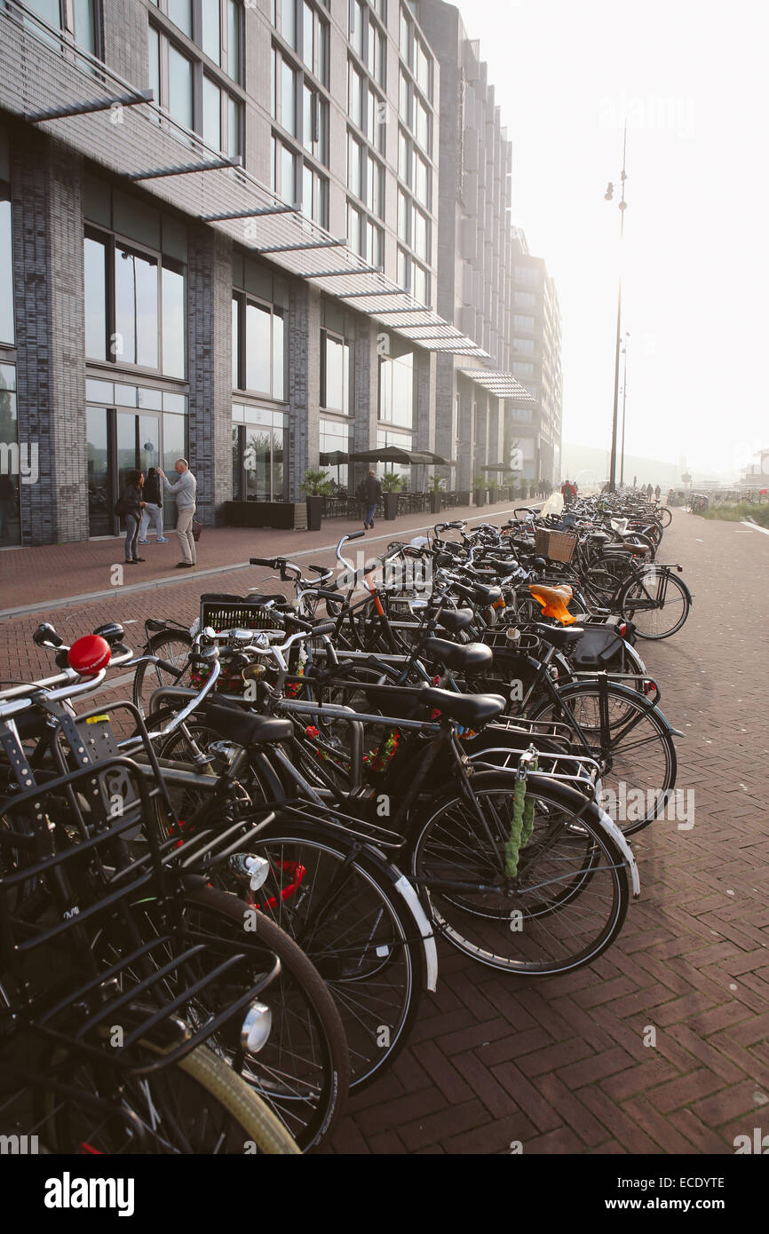 Amsterdam-Morgen-Fahrradträger Stockfoto