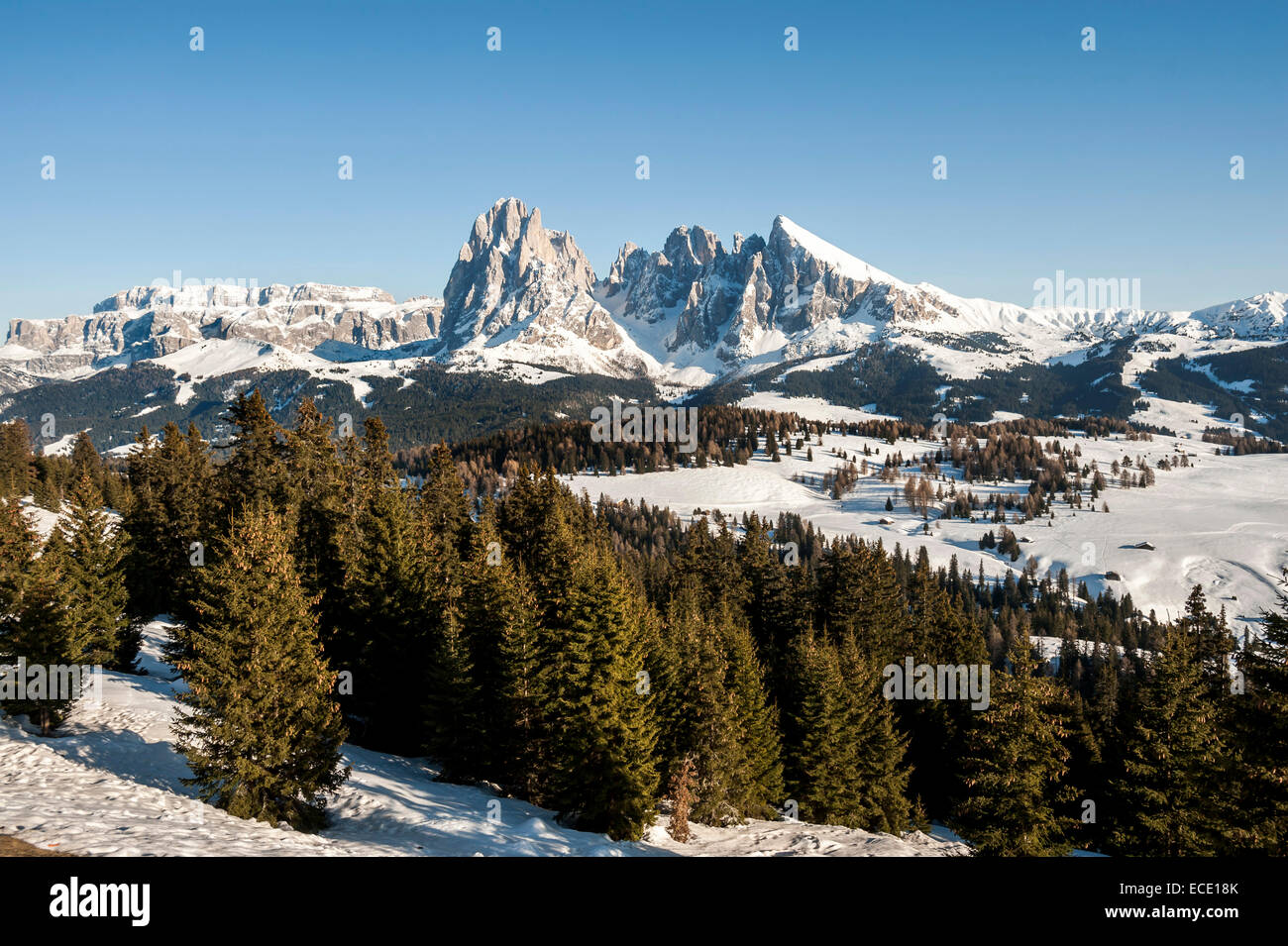Blick auf Langkofel und Plattkofels Berge, Santa Cristina Valgardena, Alto Adige, Italien Stockfoto
