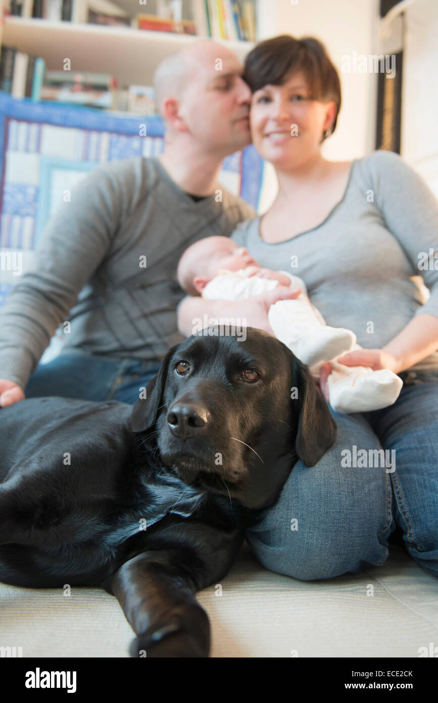 Familie mit Baby und Hund Stockfoto