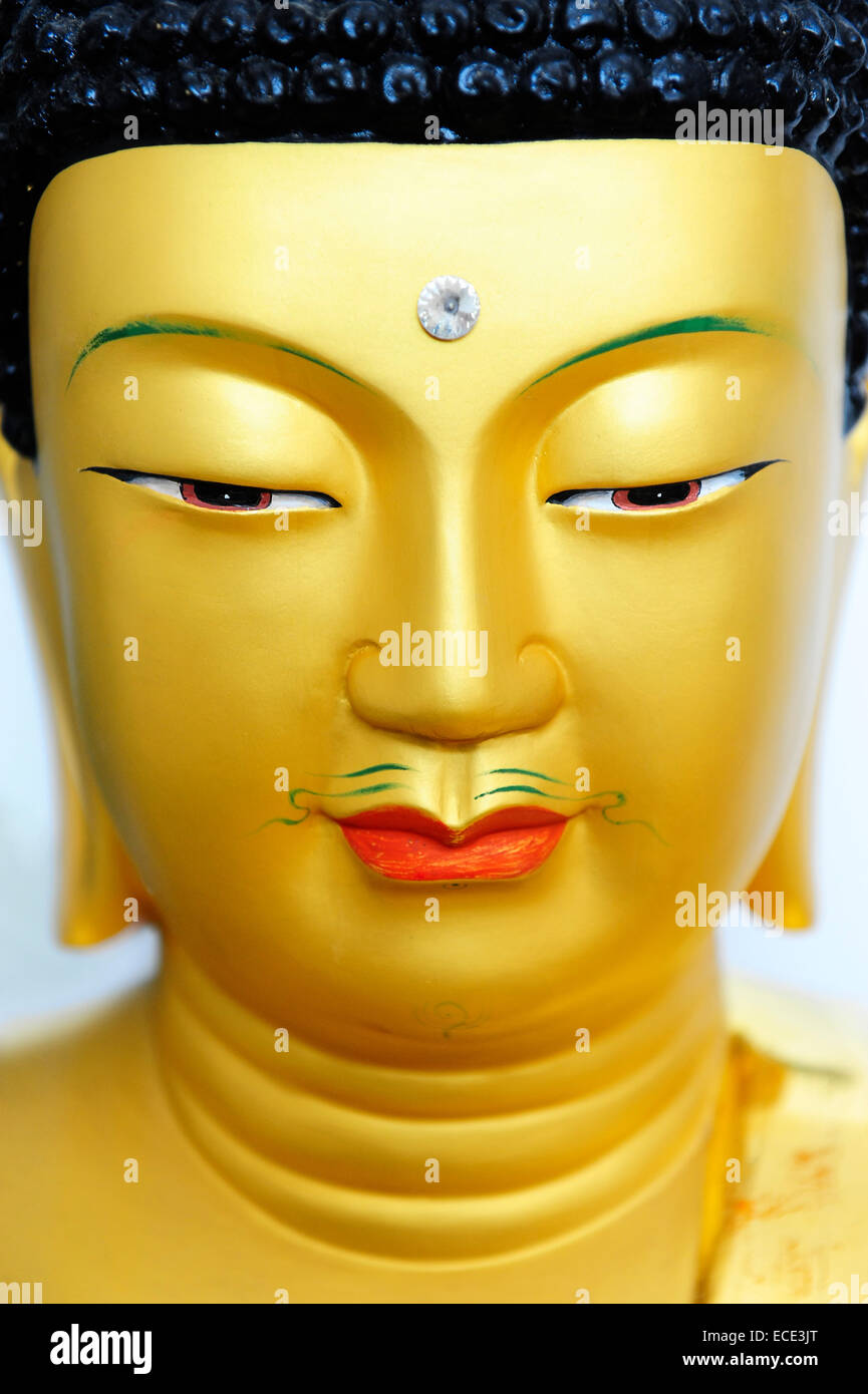 Kopf eines goldenen Buddha Skulptur aus Korea Stockfoto