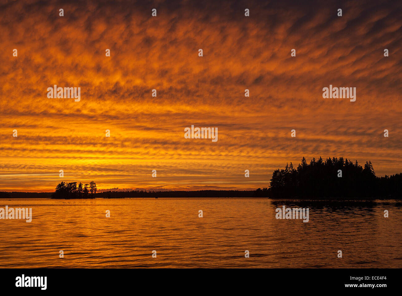 Sonnenuntergang, Abendstimmung, cloud-Bildung, See Rusken, Smaland, Schweden Stockfoto