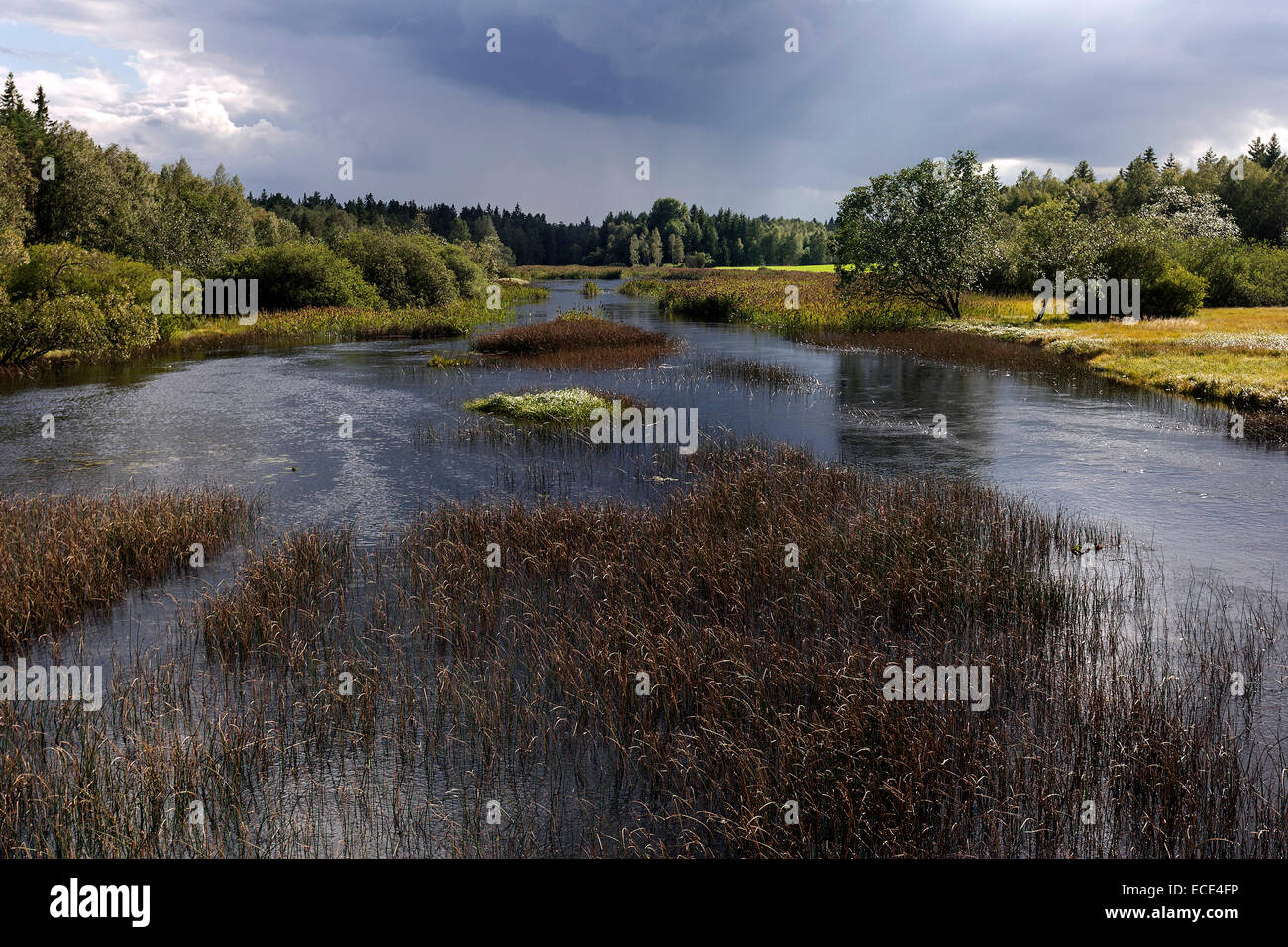 Fluss Landschaft, National Park Store Mosse, Smaland, Schweden Stockfoto