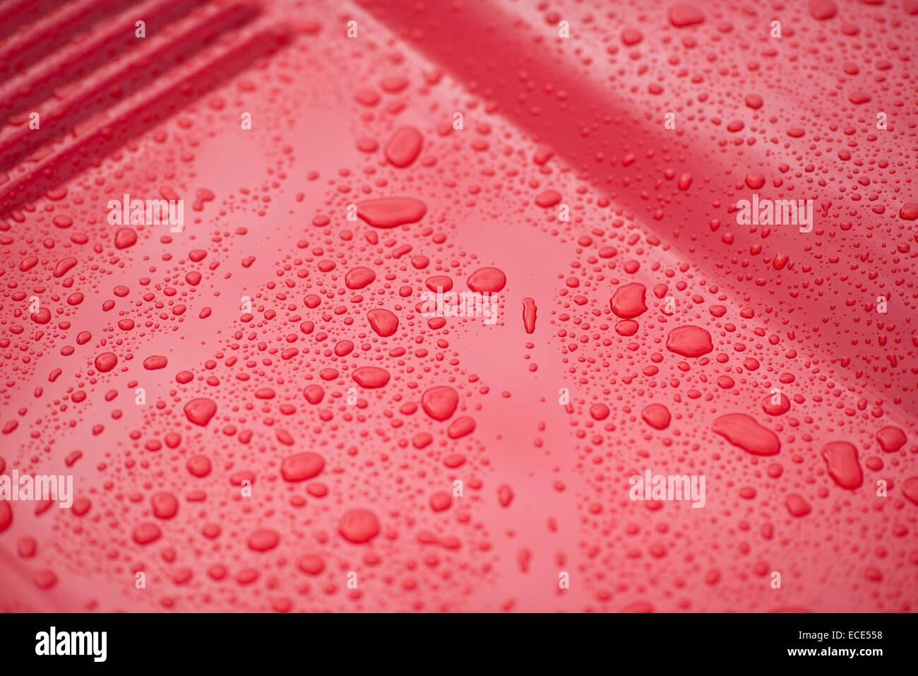 Jaguar e-Type, Motorhaube Kühlergrill im Regen, rot Stockfoto