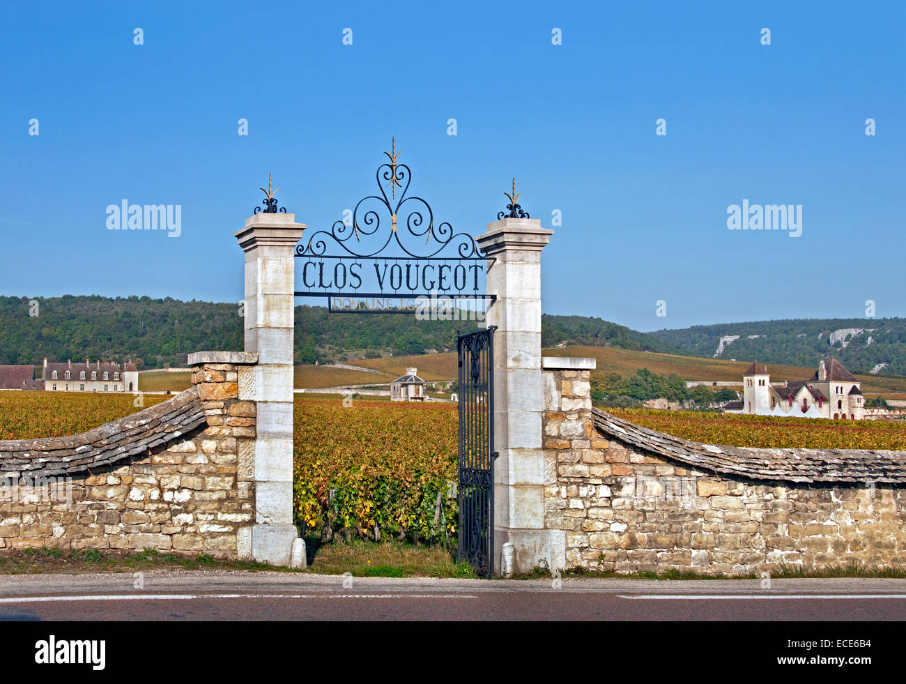 Château Clos Vougeot Weinberg Weingut Vintage Burgund Französisch Frankreich Stockfoto