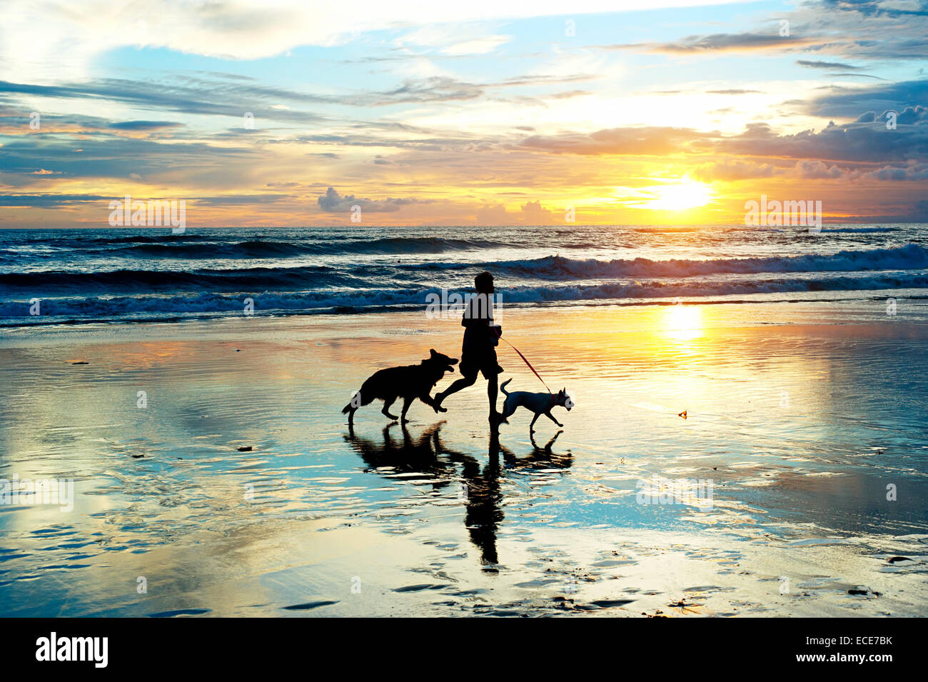 Mann mit einem Hunde laufen am Strand bei Sonnenuntergang. Insel Bali, Indonesien Stockfoto