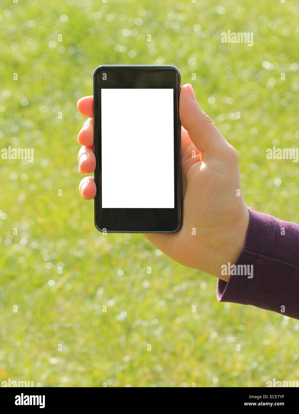 Hand mit Smartphone auf grünen Rasen Hintergrund Stockfoto