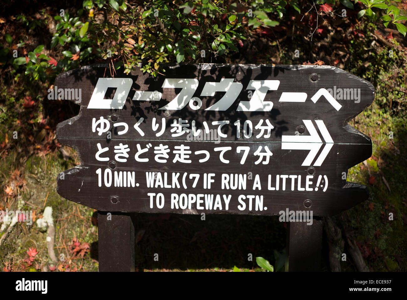 Japanische Zeichen mit einem Sinn für Humor, Miyajima, Japan. Stockfoto