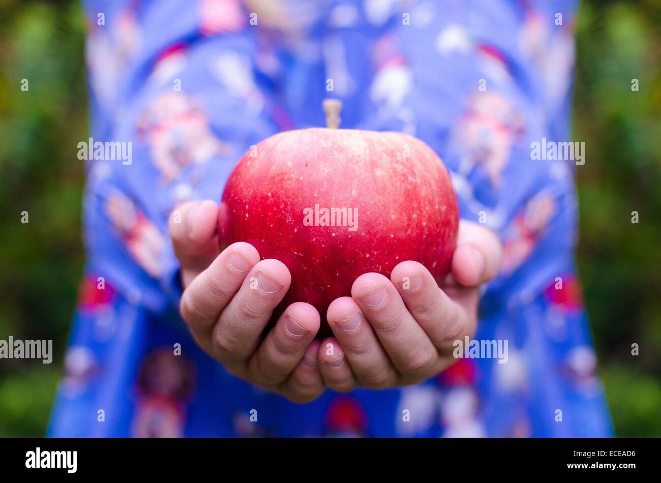 Mädchen halten Apfel Stockfoto