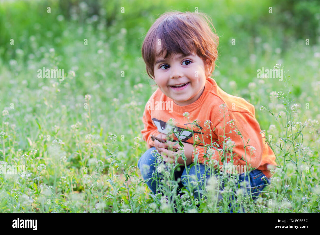 Junge (2-3) im Rasen Stockfoto