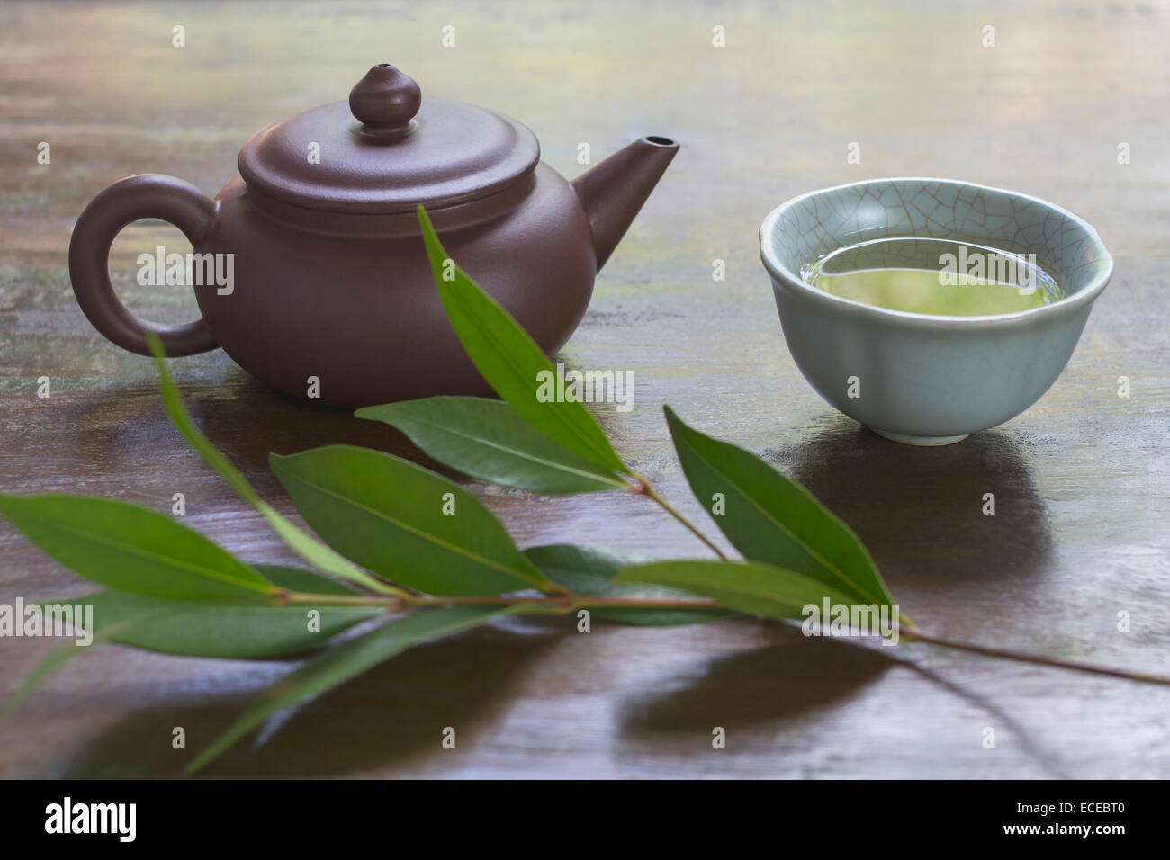 Stillleben mit Keramik Teekanne, Tasse grüner Tee und Zweig der Teepflanze Stockfoto